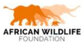 African Wildlife Foundation